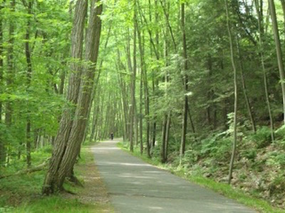 https://www.mwvrecpath.org/uploads/images/Home_Columns_400x300/Path with trees 400.jpg